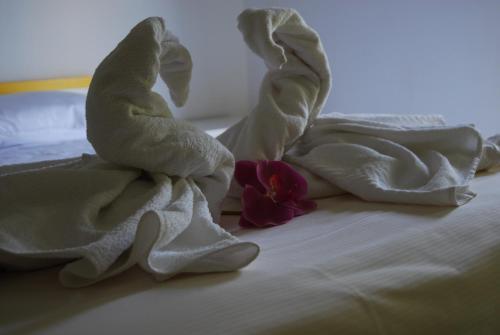 Hotel Neps